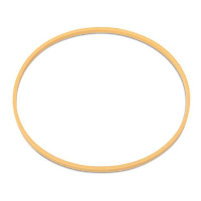 SKR7061 Pierścien wałka 1286024C1 Case Maxxum Magnum MX New Holland T8