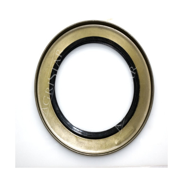 Uszczelniacz 110.01x159,99x11,99 Case: Magnum 7110, 7210, 7220, 8910, Mx150, Mx1750 5088, 5288, 5488,  85244C1, 143927C1