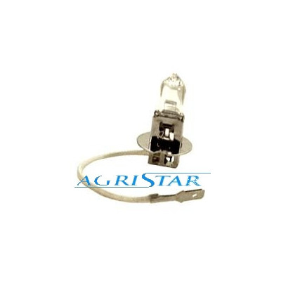 ELE1601 Żarówka 100W 12V