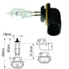ELE1603 Żarówka 12V 50W